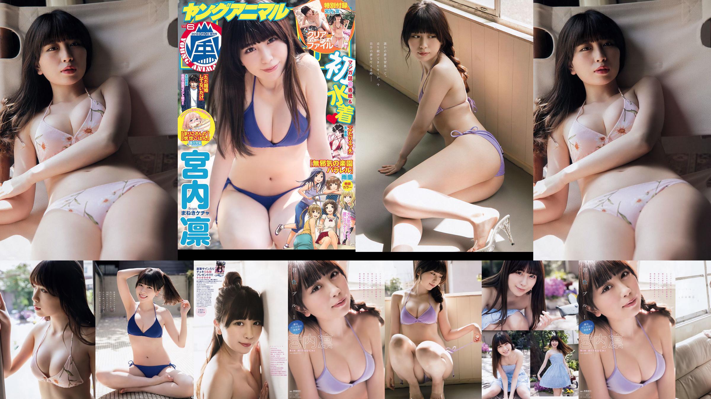 Rin Miyauchi [Young Animal Arashi] Arashi Special Issue 2018 No.06 Photo Magazine No.f2f5fa Pagina 1