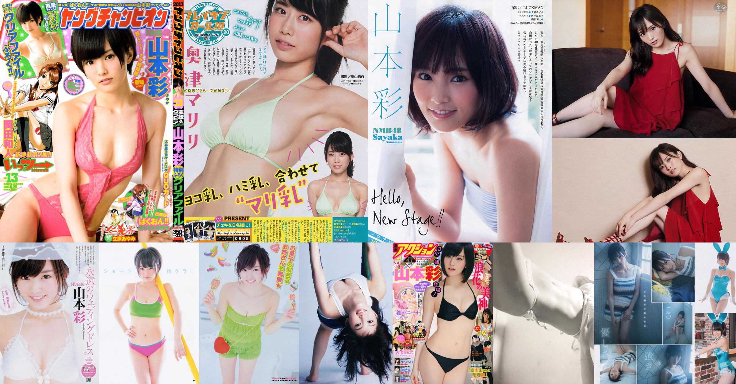 Yamamoto Aya Nishino Nanase [Young Jump semanal] 2013 No.11 Photo Magazine No.1127db Página 1