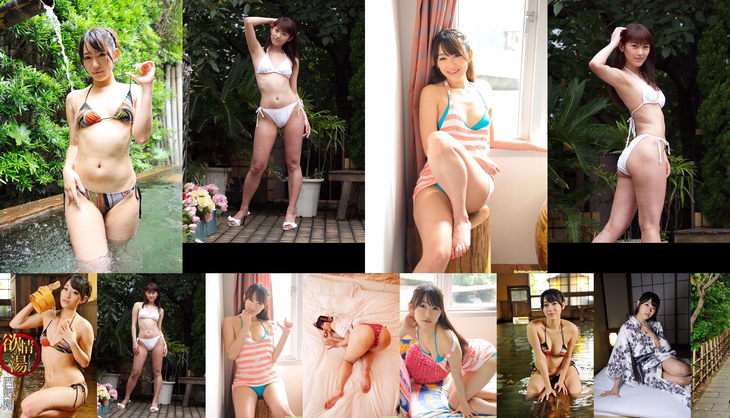 Sho Nishino << Meeting with the finest ass beauty at the hotel >> [DGC] NO.1098 No.06d956 Page 1